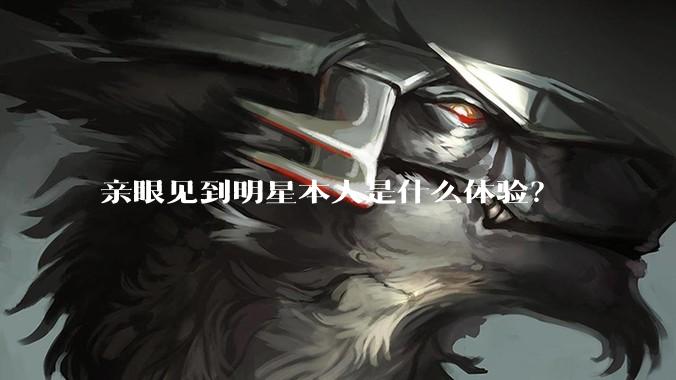 亲眼见到明星本人是什么体验？