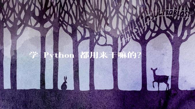 学 Python 都用来干嘛的？