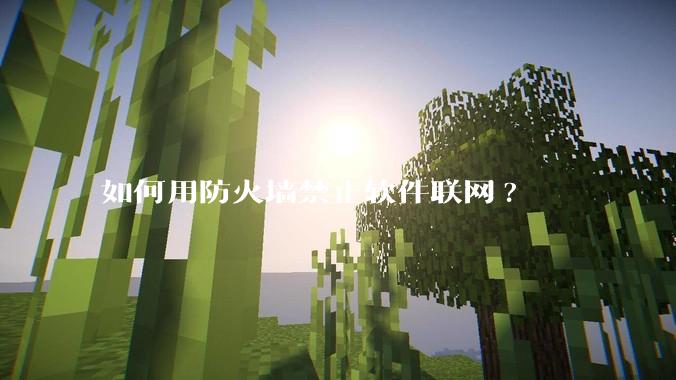 如何用防火墙禁止软件联网?