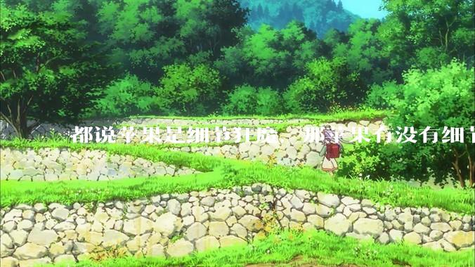 都说苹果是细节狂魔，那苹果有没有细节其实做的很差的点？