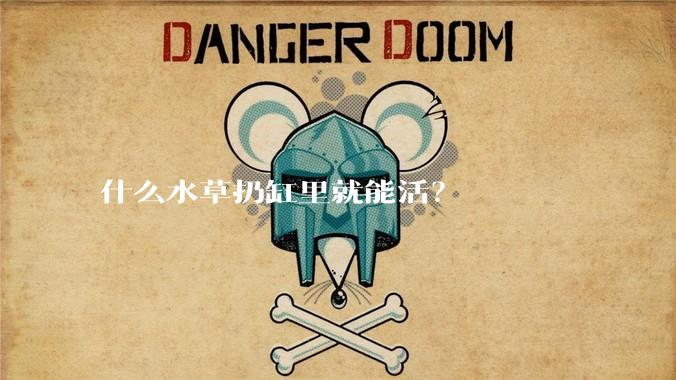 什么水草扔缸里就能活？