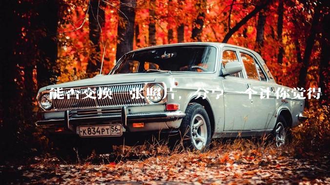 能否交换一张照片，分享一个让你觉得「仿佛回到了暑***」的瞬间？