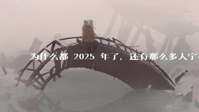 为什么都 2025 年了，还有那么多人宁可双持，也不愿意放弃安卓或非安卓手机？