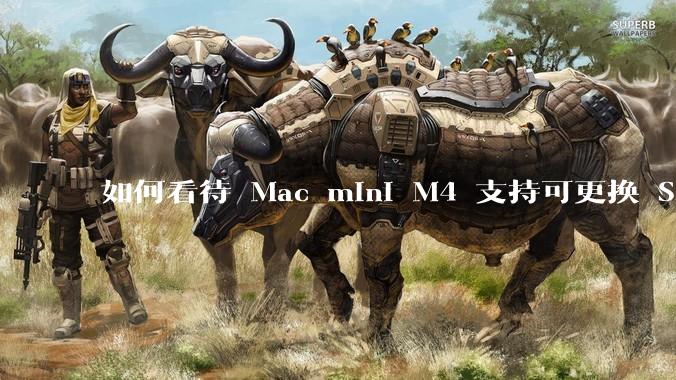 如何看待 Mac mini M4 支持可更换 SSD？
