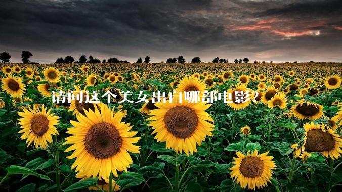 请问这个美女出自哪部电影？