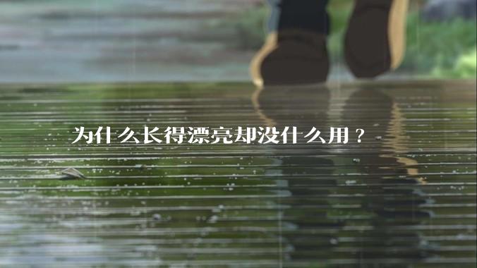 为什么长得漂亮却没什么用?