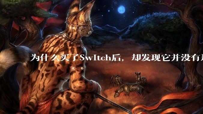 为什么买了Switch后，却发现它并没有那么好玩？