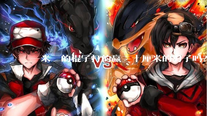 一米二的棍子打的赢三十厘米的刀子吗？