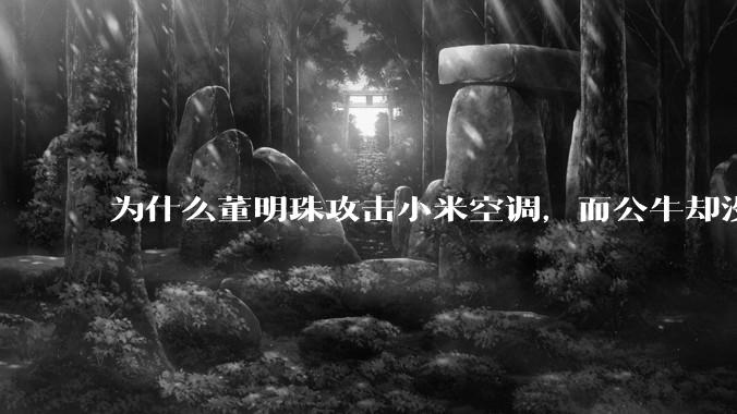 为什么董明珠攻击小米空调，而公牛却没有攻击小米插座？