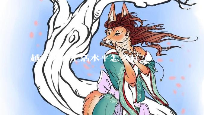 越南人的生活水平怎么样？