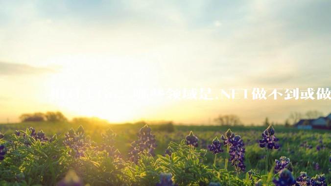 相对于Go，哪些领域是.NET做不到或做不好的?