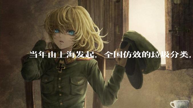 当年由上海发起，全国仿效的垃圾分类，现在为什么没人搞了？