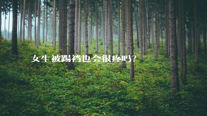 女生被踢裆也会很疼吗？