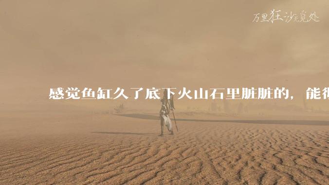 感觉鱼缸久了底下火山石里脏脏的，能彻底换水清理一遍不？