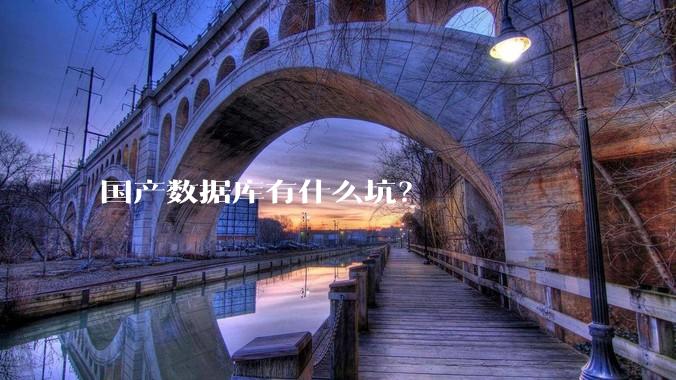 国产数据库有什么坑？