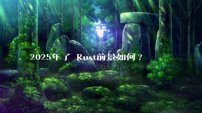 2025年了 Rust前景如何?