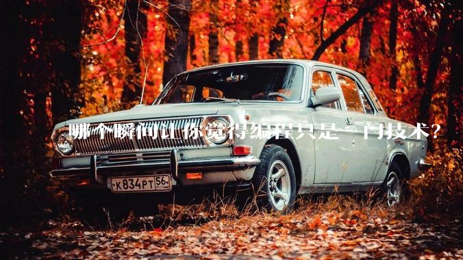 哪个瞬间让你觉得编程只是一门技术？