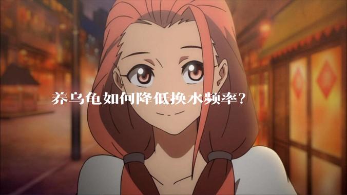 养乌龟如何降低换水频率？