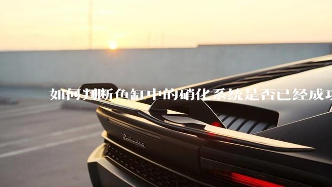 如何判断鱼缸中的硝化系统是否已经成功建立？