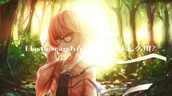 ElasticSearch在项目中具体怎么用？